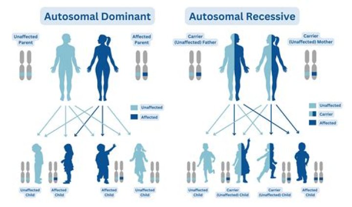 What is autosomal non disjunction?