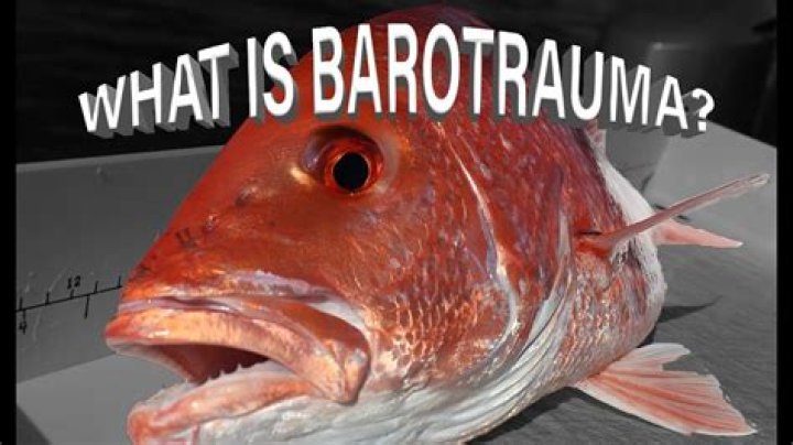 What is barotrauma mean?