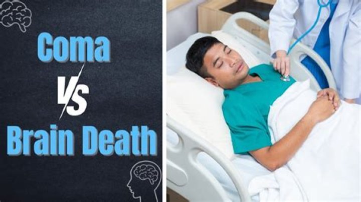 What is brain dead vs coma?