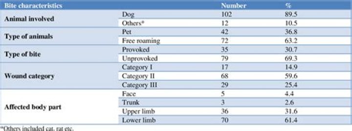 What is Category 3 dog bite?