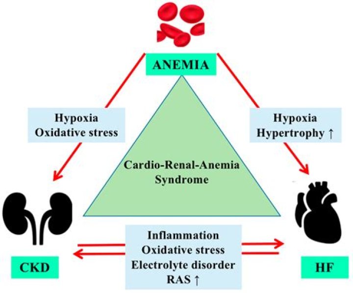 What is Celtic blood disease?