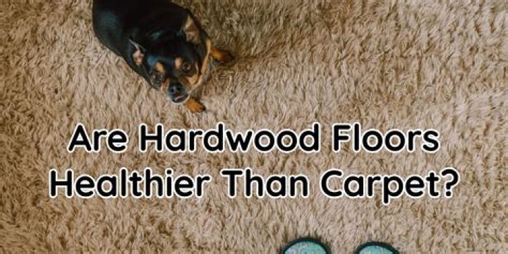 What is healthier carpet or hardwood floors?