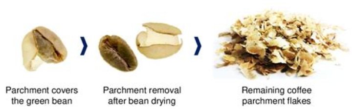 What is parchment coffee?