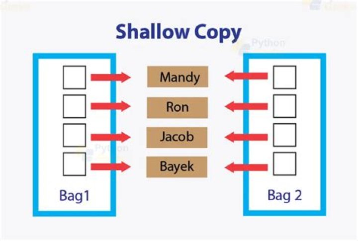 What is shallow copy MCQS?