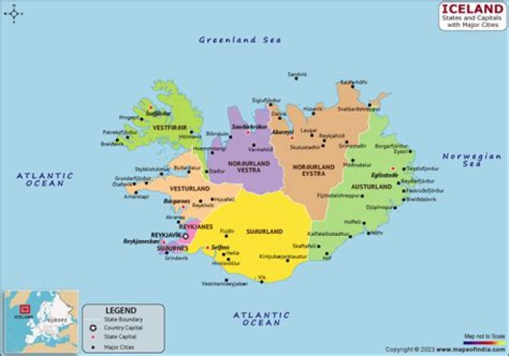 What is the capital bird?