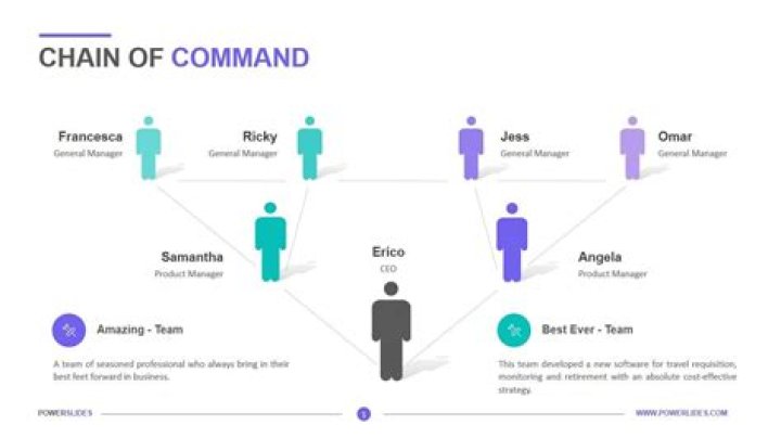 What is the chain of command of a business?