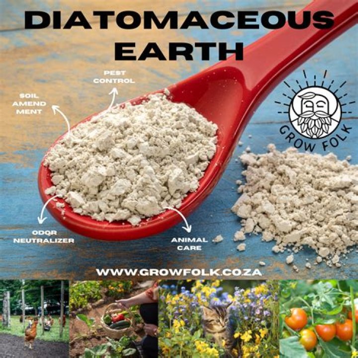 What is the difference between food grade diatomaceous earth and regular diatomaceous earth?