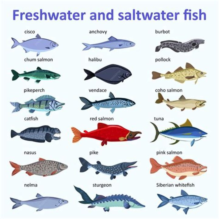 What is the healthiest freshwater fish?