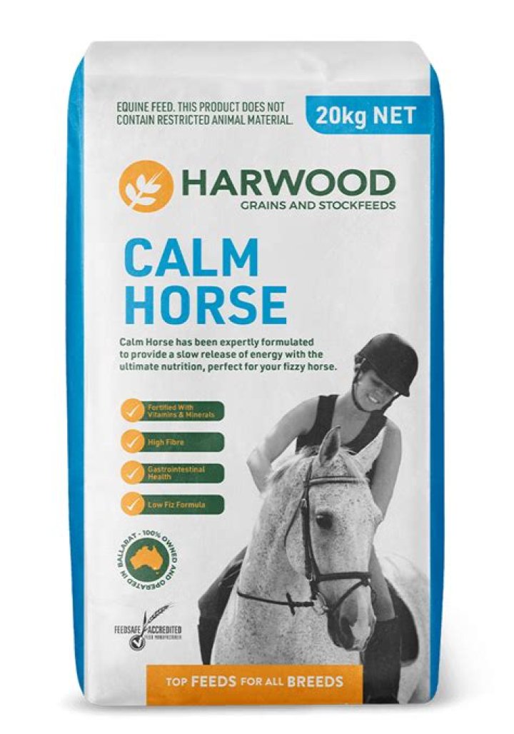 What is the most calm horse breed?