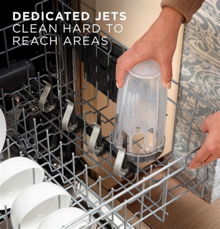 What is the most efficient way to get rid of rats?