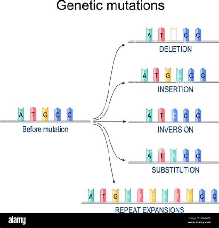 What is the most serious type of mutation?