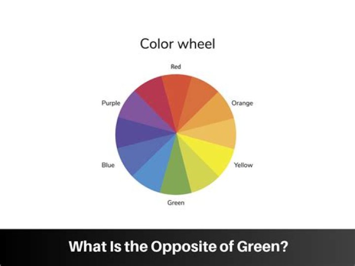 What is the Opposite of witch?