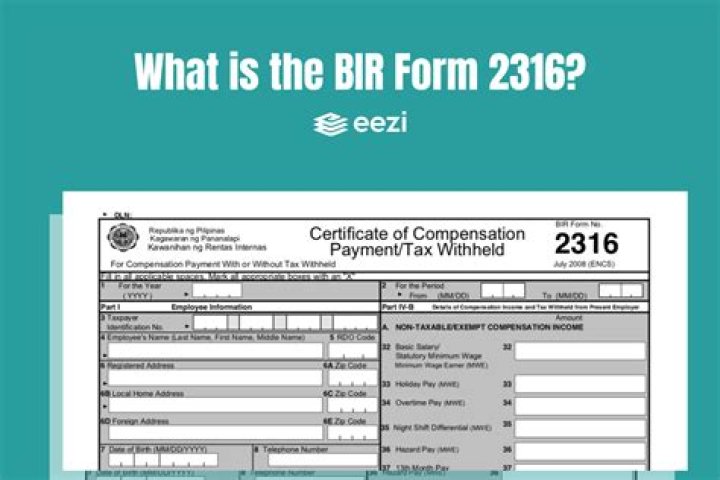 What is the purpose of BIR 2316?