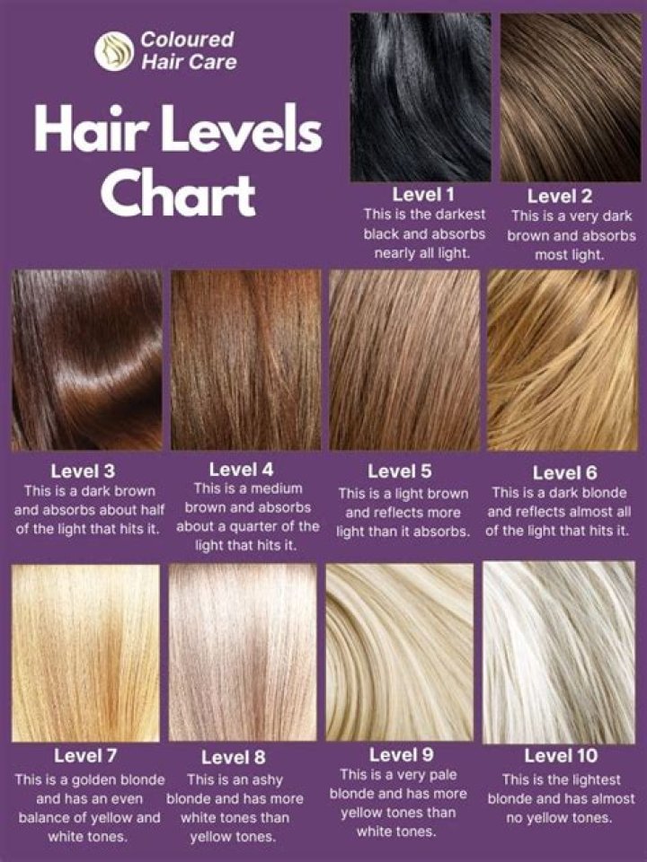 What level is grey hair?