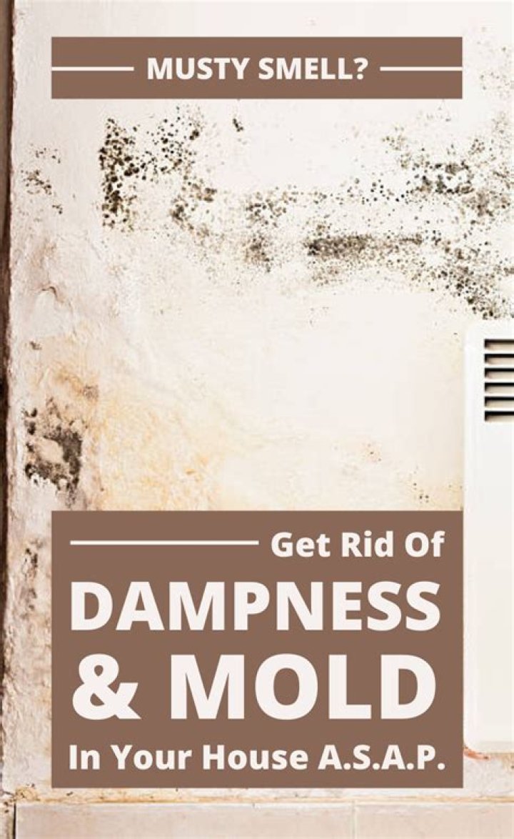 What makes old houses smell musty?