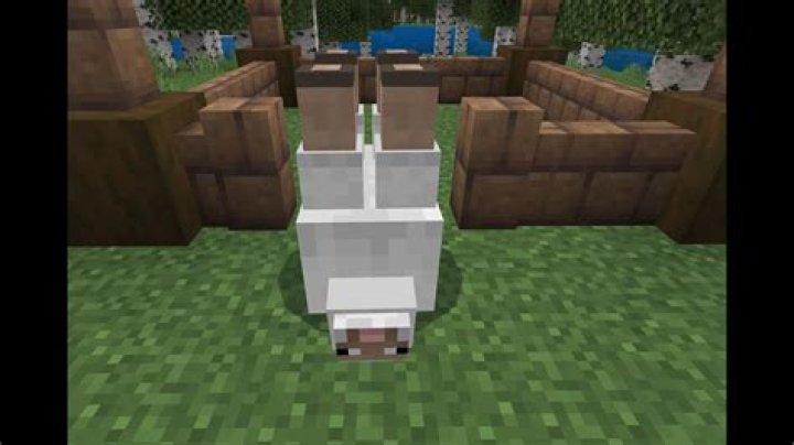 What name turns mobs upside down?