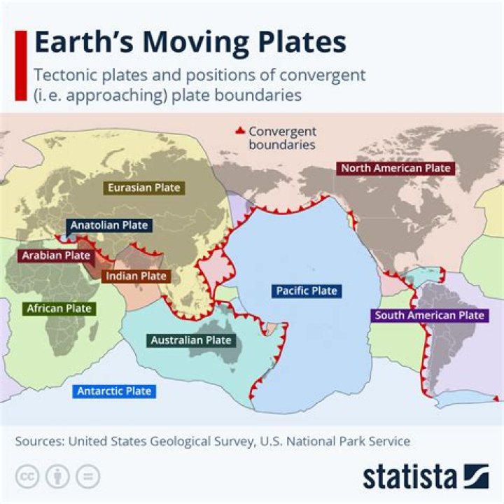 What plates are safe?
