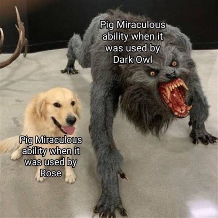 What power does the pig miraculous have?