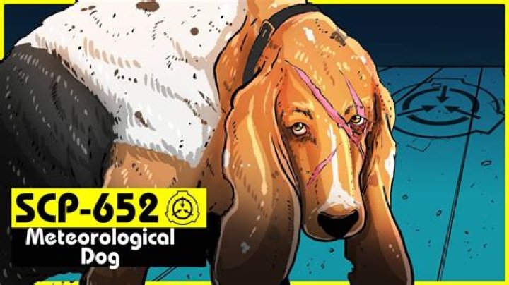 What SCP is a dog?