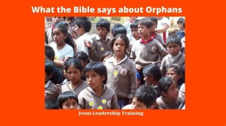 What the Bible says about orphans?