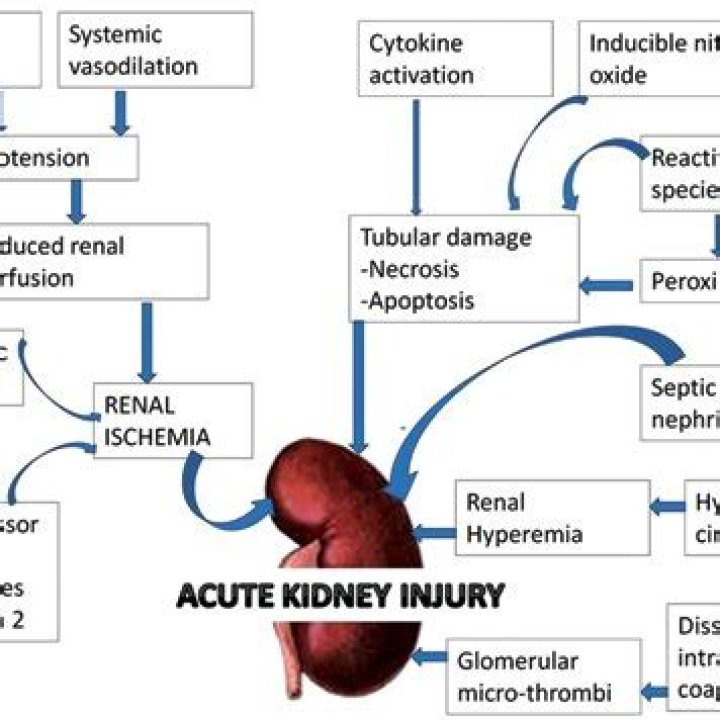 What type of kidney injury is caused by sepsis?