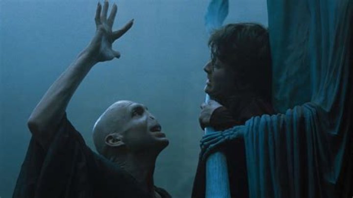 What was Voldemort's end goal?