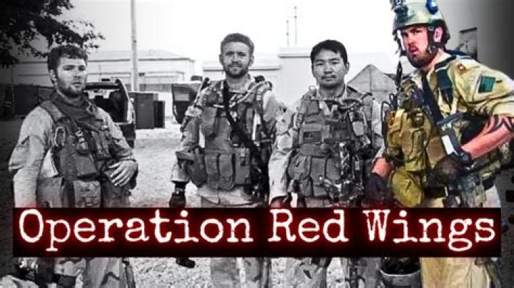What went wrong Operation Red Wings?