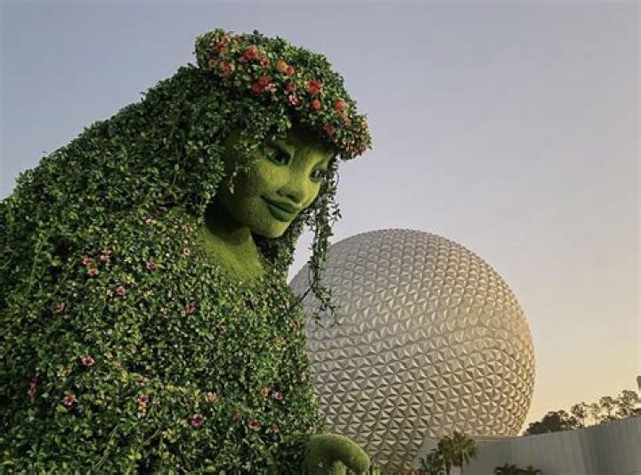 What will happen to EPCOT?