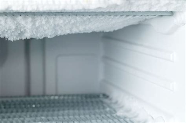 When can I put food back in freezer after defrosting?