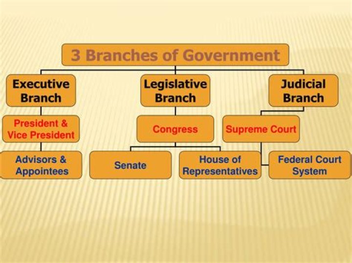 Which branch decides what laws?