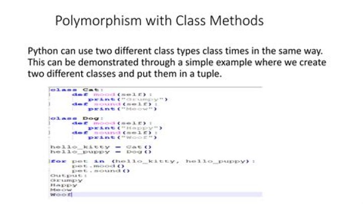 Which Java class programming technique shows the use of polymorphism?