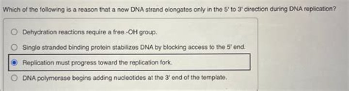 Which of the following is a reason that a new DNA strand elongates only in the 5 to 3 direction during DNA replication?