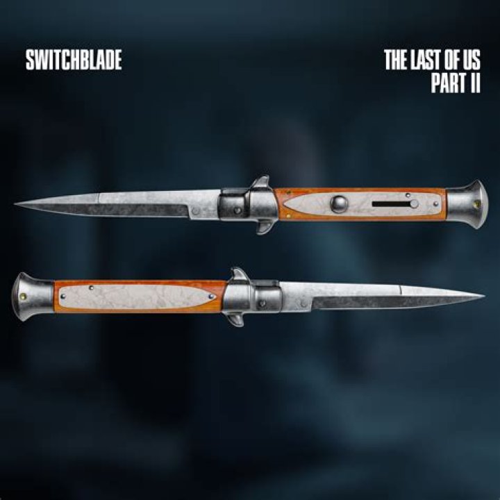 Who borrowed two bit's switchblade?