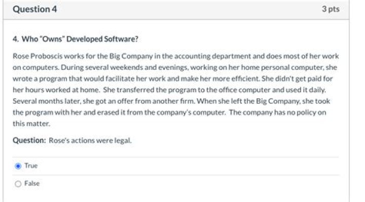 Who owns developed software?
