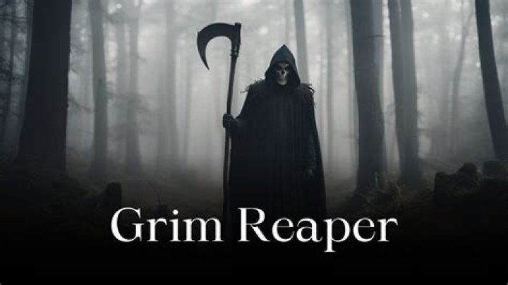 Who plays the Grim Reaper in The Watch?