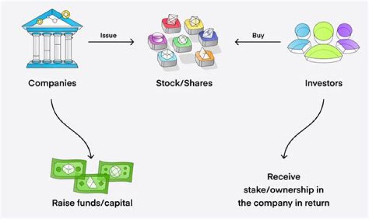 Who supplies shares in a stock market?