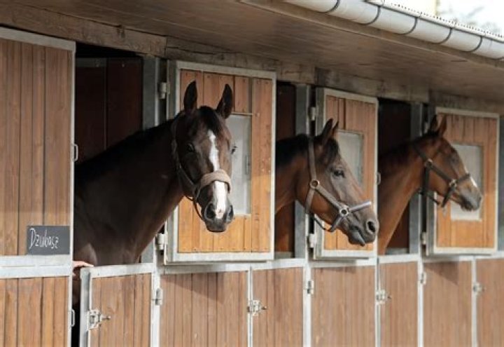 Why are horses stabled at night?