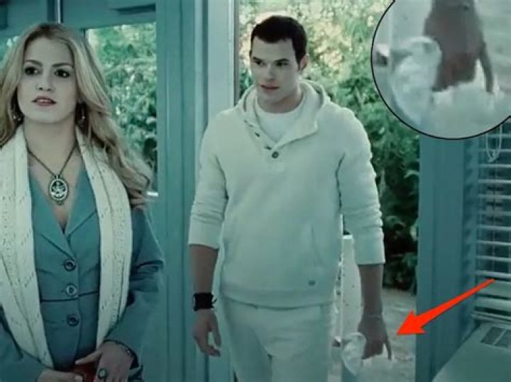 Why did Emmett Cullen have a bag of eggs?