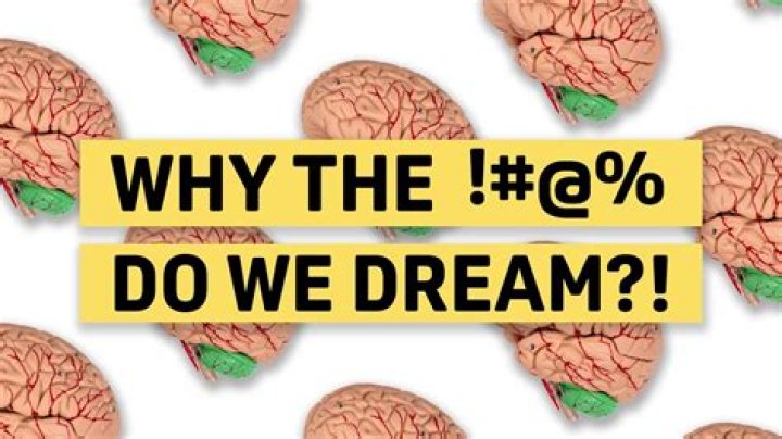 Why did I have a dream in a dream?