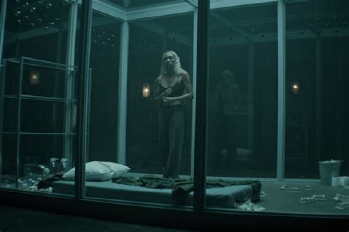 Why do Bellamy and Echo break up?