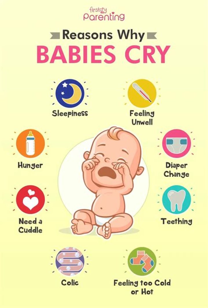 Why do dogs freak out when babies cry?