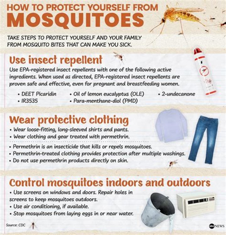 Why do mosquitoes sing in your ear?