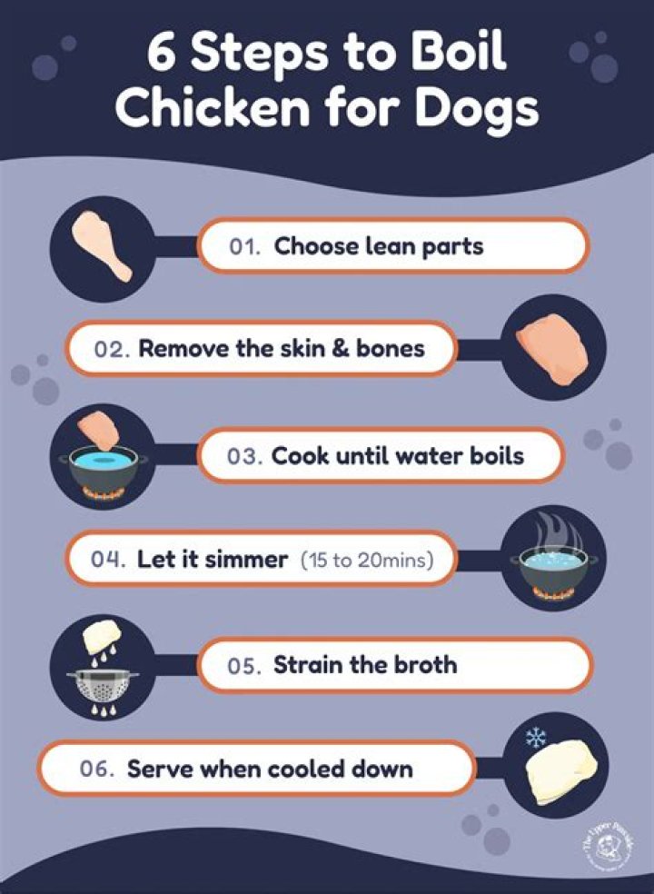 Why do you have to boil chicken for dogs?