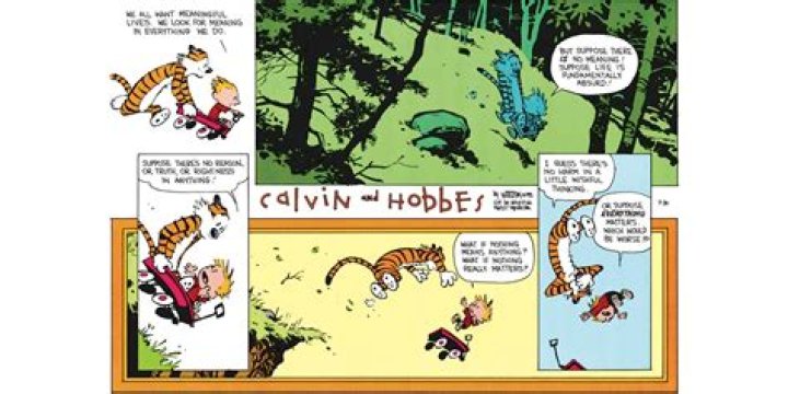 Why does Calvin Call Charles a moron?