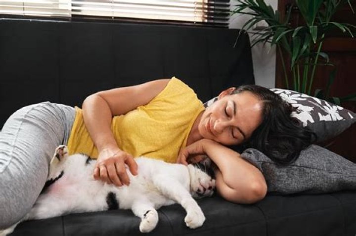 Why does my cat bury his face in my arm?