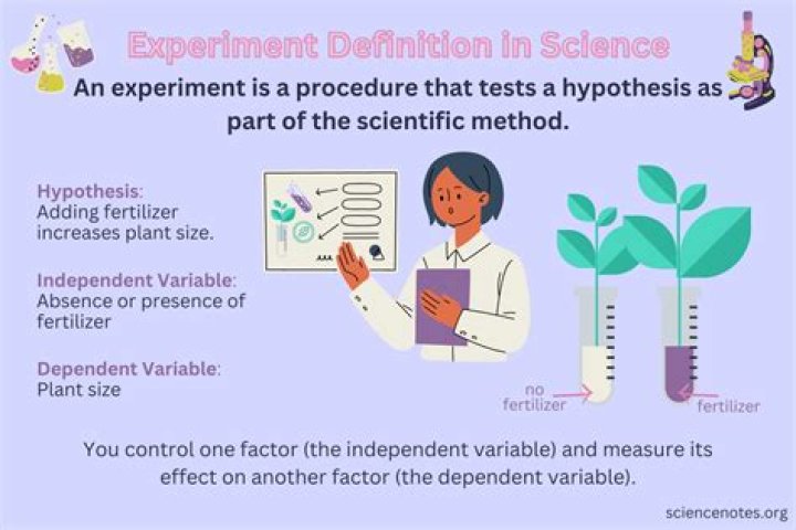 Why is it important to accurately record the procedures and results of an experiment?
