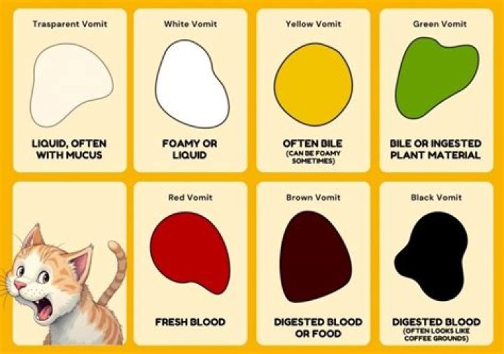 Why is my cat throwing up brown liquid?