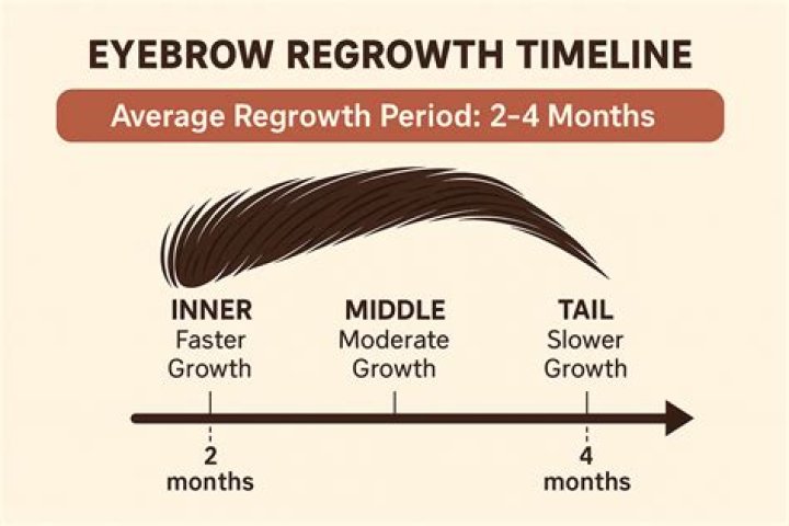 Why won't my eyebrows grow back?