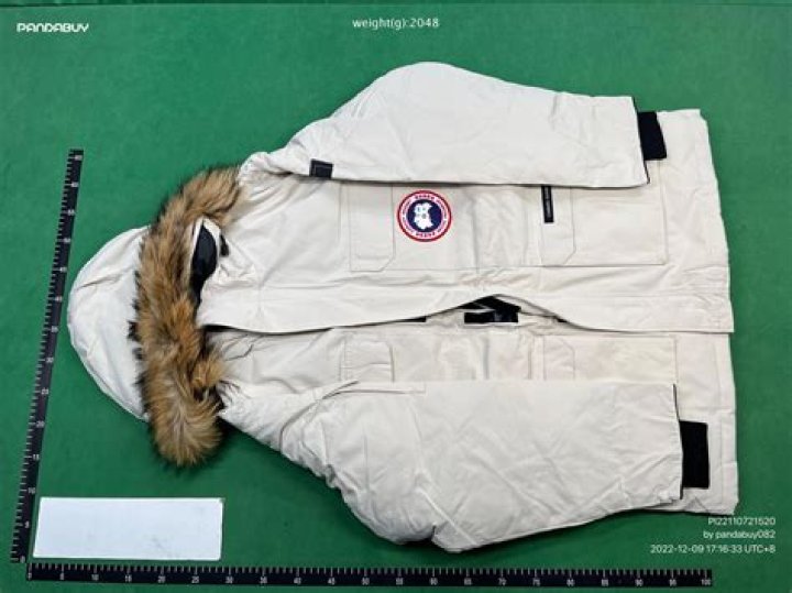 Why you shouldn't buy Canada Goose?